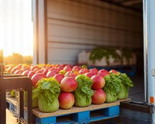 Fresh produce being loaded into a refrigerated truck